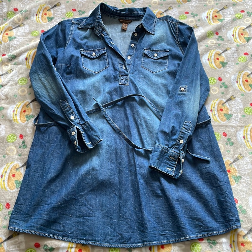 ⭐️ Bit and Bridle Mini Denim Dress